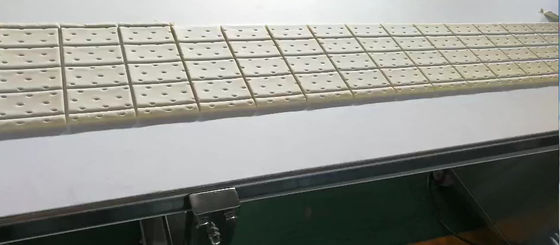 Compact Structure 2500W L3100mm Cookie Production Line