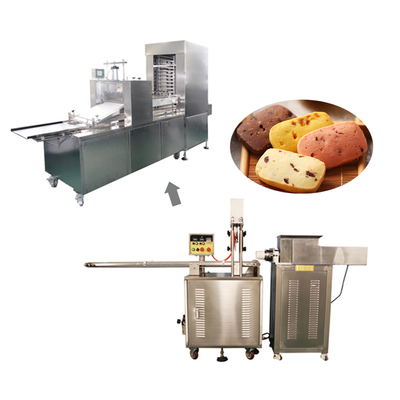 Thiết bị nướng tự động Đường dây sản xuất bánh quy đông lạnh Với máy đặt bánh quy
